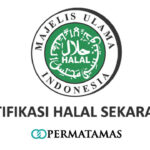 Jasa Sertifikasi Halal Keripik Kentang
