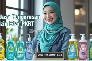 Jasa Pengurusan Izin Edar PKRT 