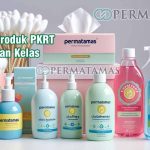 Kategori Produk PKRT Berdasarkan Kelas