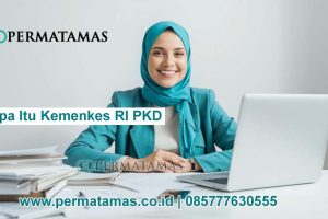 Apa Itu Kemenkes RI PKD