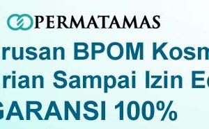 Cara Mudah Mengurus Izin Edar PKD Kemenkes Terbaru