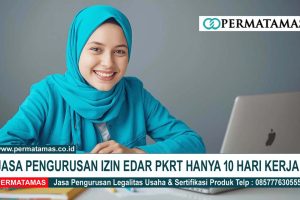 Konsultan Izin Kemenkes PKD/PKL Antiseptik dan Disinfectant