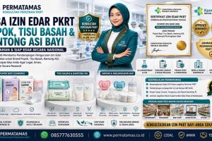 Jasa Pengurusan Izin Edar PKRT Popok Bayi, Diapers Sekali Pakai, dan Empeng Bayi